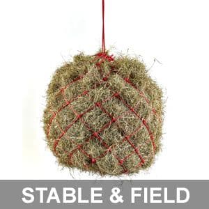 horse care