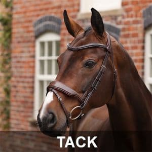 Bridles, martingales, breastplates, stirrups