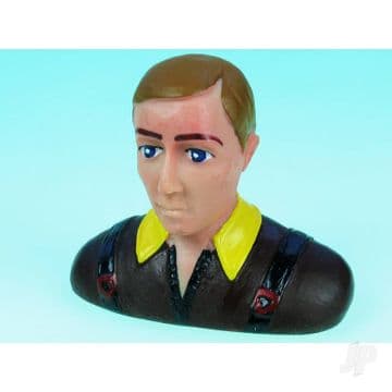 Small Civilian Pilot P19