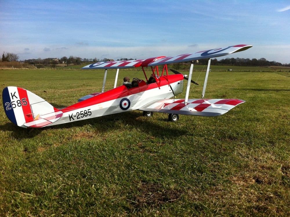 Tiger Moth