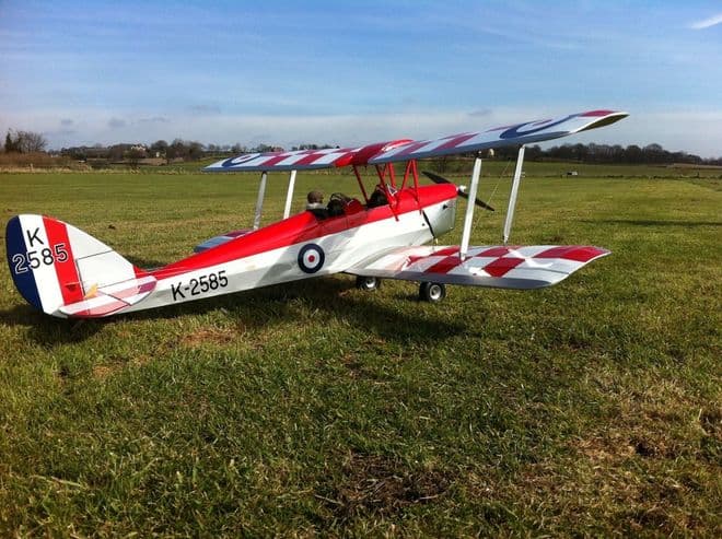 Tiger Moth