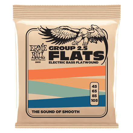 Ernie Ball Group 2.5 Flat wound Bass Strings 45-105