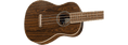 Fender Zuma Exotic Concert Ukulele Bocote