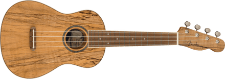Fender Zuma Exotic Concert Ukulele Spalted Maple