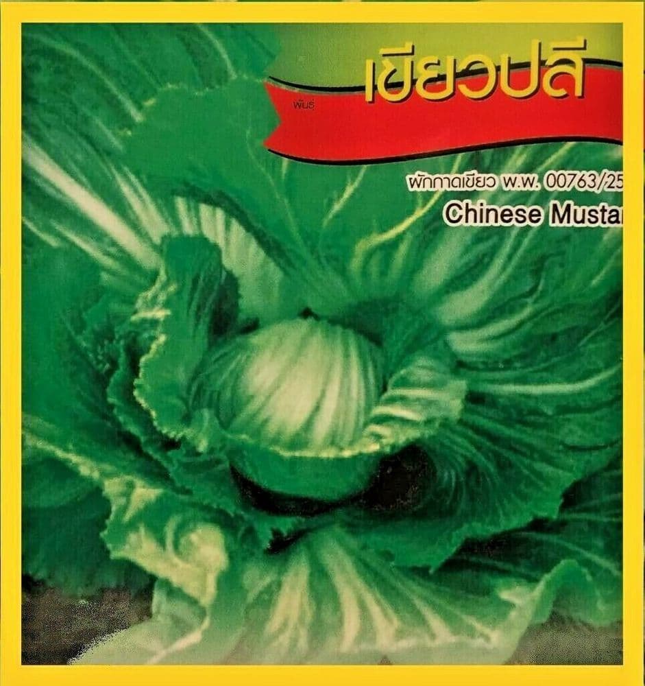 All Season Asian Thai Mustard Chinese Mustard GREENBALL Gai Choy 300 Seeds