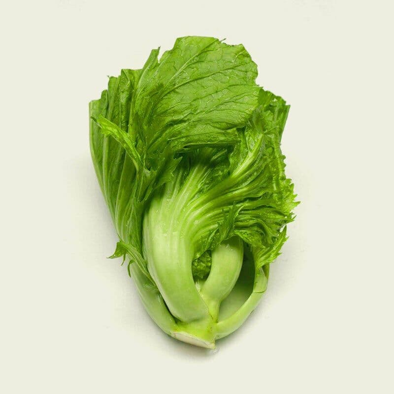 2,000 Fresh Chinese Mustard Green Seeds – Gai Choy, Cai Be Xanh, Easy Grow, USA Harvest