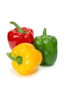 All Season - Bell Pepper, Sweet Pepper, Capsicum, Shimla Mirch শিমলা মরিচ seeds