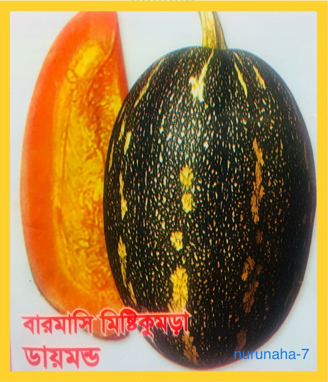 Bangladeshi Seeds BIG SWEET PUMPKIN Sofry Kodu Misty Kumra HQ