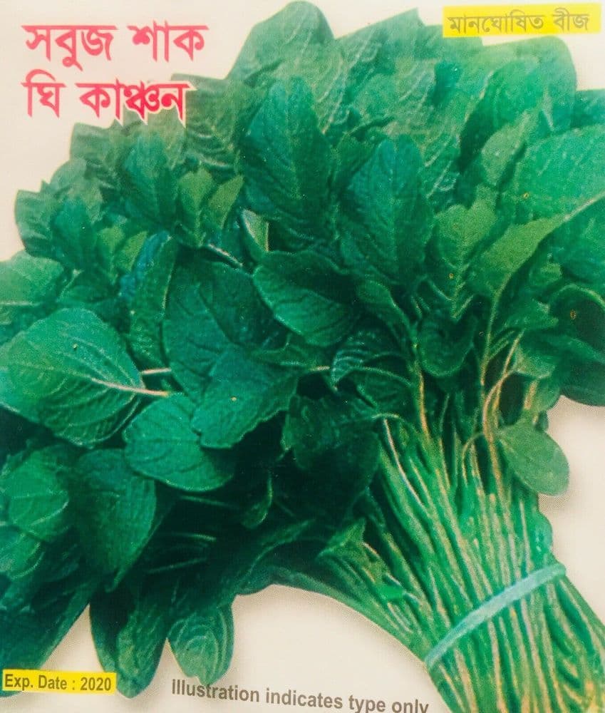 Bangladeshi Seeds Rare Leaf Amaranth Heirloom Notey Shak