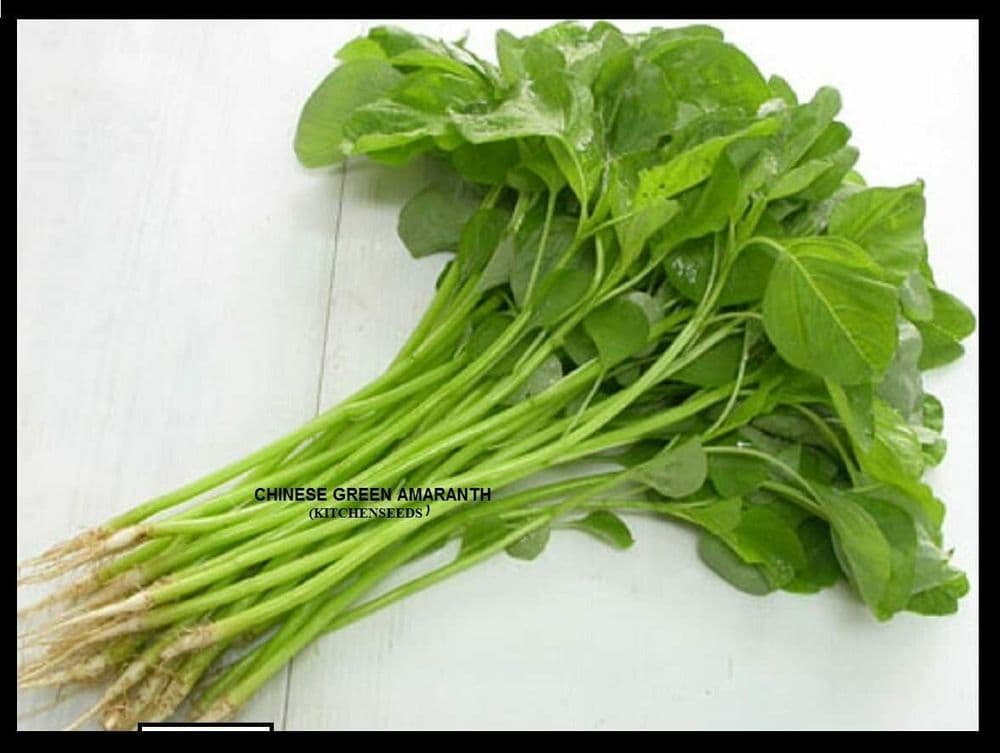 Bangladeshi Vegetable Seeds Rare Leaf Amaranth Ghee Kanc Notey Shak