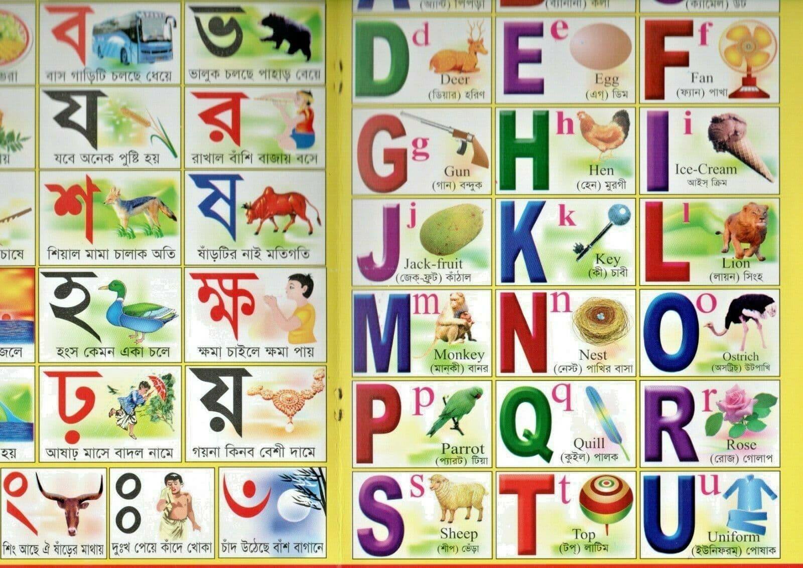 Children s Bangla English Arabic Alphabet Book Minnie in