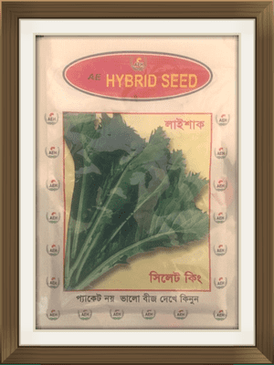 Full Pack Bangladeshi, Salad, Mustard, Sarson, Boro Pata Lai, লাইপাতা 1pk seeds