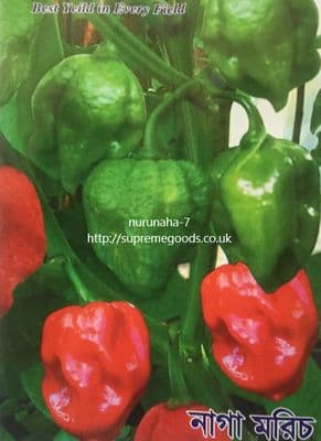 Genuine Bangladeshi Naga Moris Ghost Pepper Bhut Jolokia নাগা মরিচ Seeds
