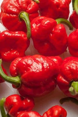 Hottest Naga Chilli Trinidad Moruga Scorpion, Ghost Pepper 10 Seeds