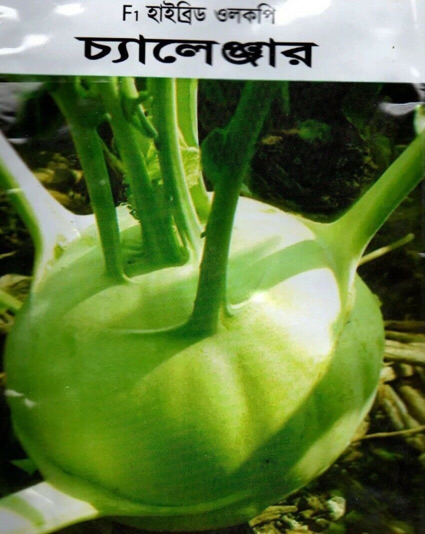 Hybrid seeds Indian Bangladeshi Seeds Kohlrabi Kholrabi Shalgom Olkopi