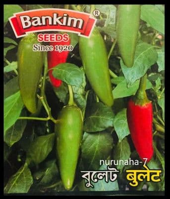 Indian Bangladeshi Extreme Hot Bullet Green Chilly, Kasa Morich বুলেট মরিচ Seeds