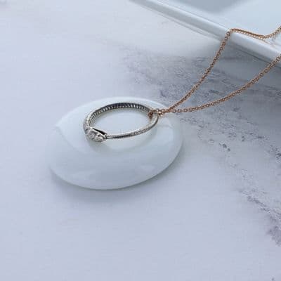 Silver And Rose Gold Snake Ring Necklace