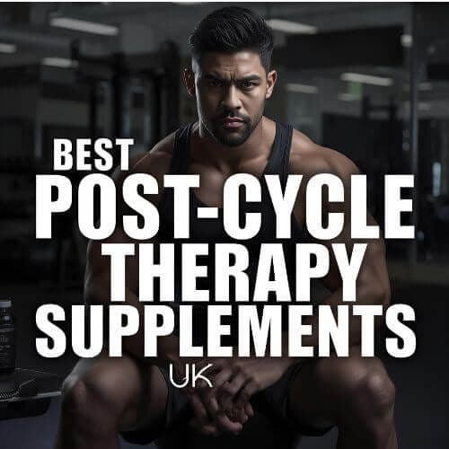 Best UK-Approved Post Cycle Therapy Supplements for Muscle Gains