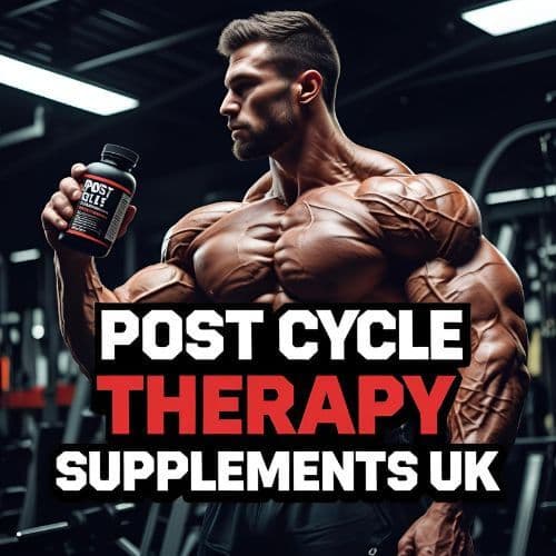 How Post Cycle Therapy Supplements Help Restore Hormone Balance Post-Cycle?