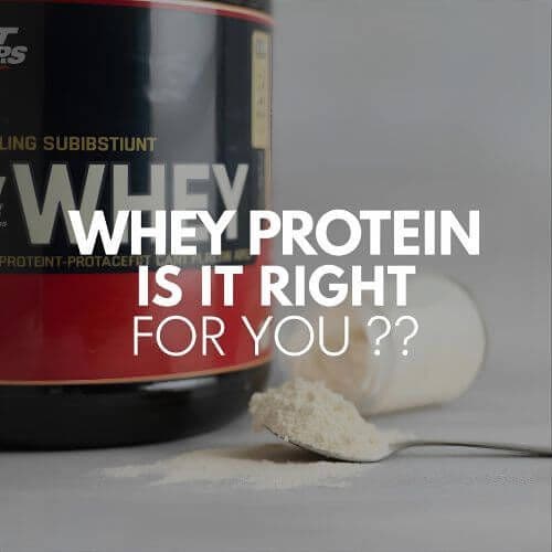 Whey Okay: Is Whey Protein the Right Choice for You?