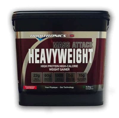 Boditronics Heavyweight 6kg Mass Attack