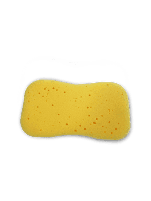 Jumbo Sponge