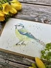 BETTY THE BLUETIT  ECO-CARD