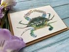 CLAUDE THE CRAB ECO-CARD