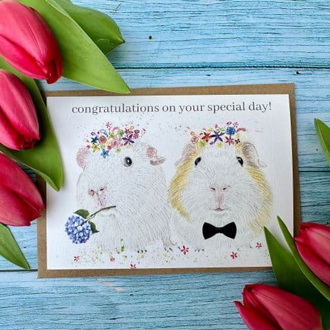 CONGRATULATIONS ON YOUR SPECIAL DAY GUINEA PIG ECO-CARD