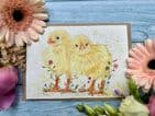 CONNIE AND CLYDE THE CHICKS ECO-CARD