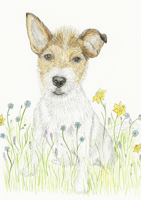 DORA THE JACK RUSSELL - SIGNED PRINT