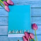 DUCKS A5 LINED NOTEBOOK