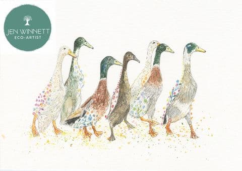 DUCKS IN A ROW - SIGNED PRINT