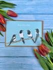 FOUR FOR A BOY ECO CARD