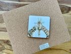 GIRAFFE COUPLE LUXURY CORK COASTER