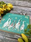 GOOD LUCK DUCK! ECO-CARD