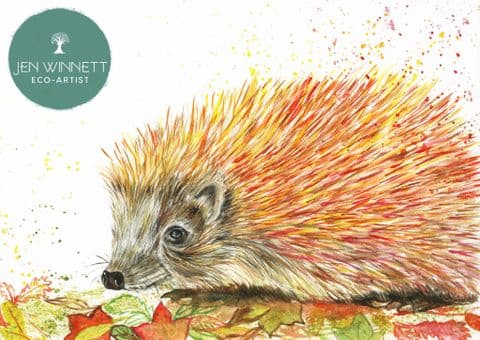 HAZEL THE HEDGEHOG - SIGNED PRINT