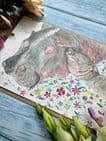 HILDA AND HUMPHREY THE HIPPOS ECO-CARD