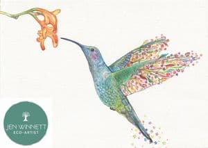 HONEY THE HUMMINGBIRD