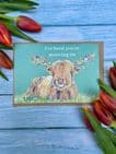 I'VE HERD YOU'RE MOOVING ON ECO-CARD
