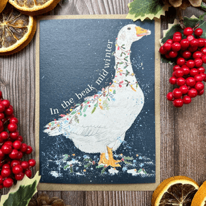 IN THE BEAK MIDWINTER