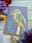 JUST TO SAY KINGFISHER ECO-CARD