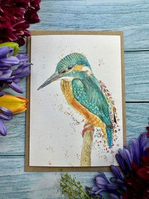 KIPPER THE KINGFISHER ECO-CARD