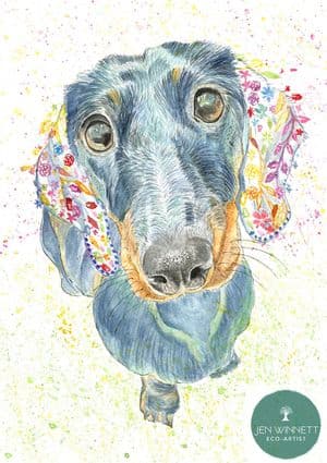 MOOSE THE DACHSHUND - SIGNED PRINT