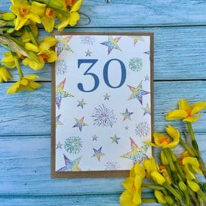 NUMBER 30 ECO-CARD