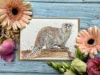 OBAN THE OTTER ECO-CARD