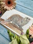 OBAN THE OTTER ECO-CARD