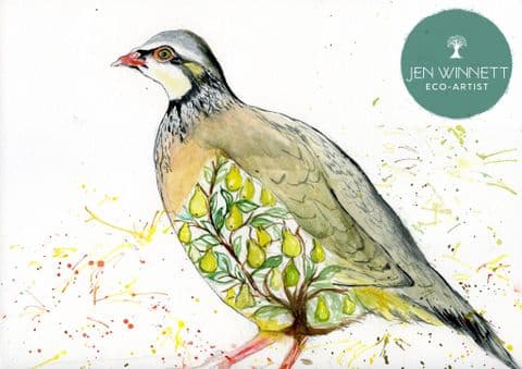 PEAR TREE IN A PARTRIDGE - SIGNED PRINT