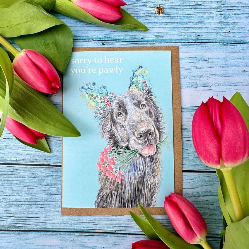 SORRY TO HEAR YOUR PAWLY ECO-CARD