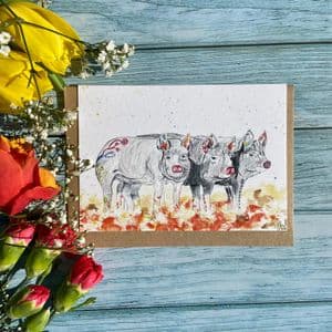 STUCK IN THE MUD PIGS ECO-CARD